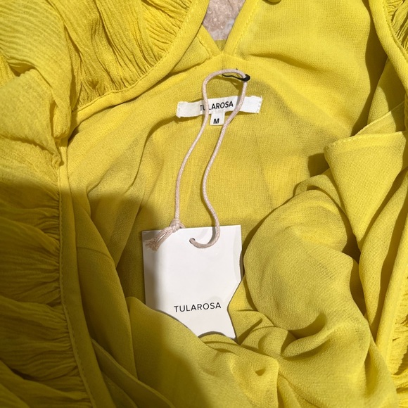 Tularosa Yellow V-Neck Dress - Picture 3 of 5